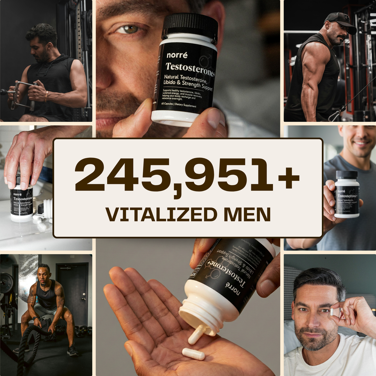 Norré Labs - Testosterone+