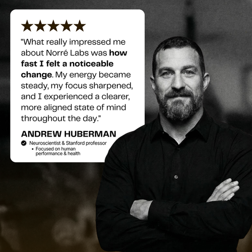 Norré - Testosterone+