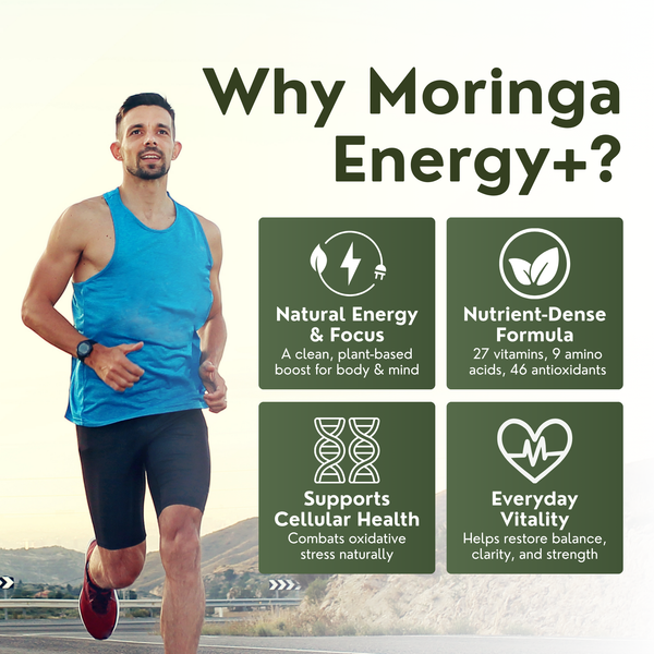 Norré Labs - Moringa+