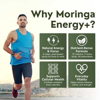 Norré Labs - Moringa+