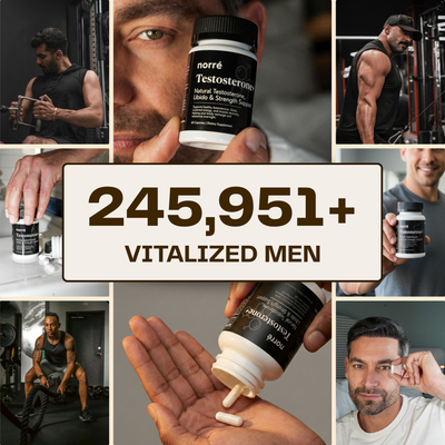 Norré - Testosterone+