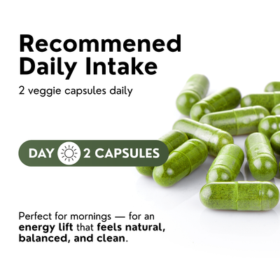 Norré Labs - Moringa+