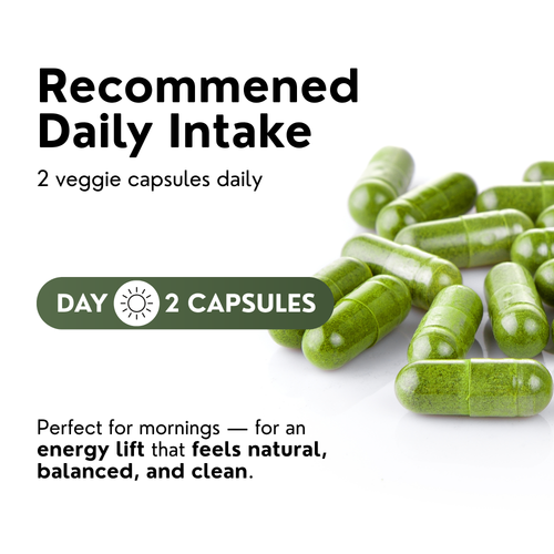 Norré Labs - Moringa+