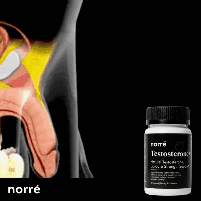 Norre Testosterone+ product
