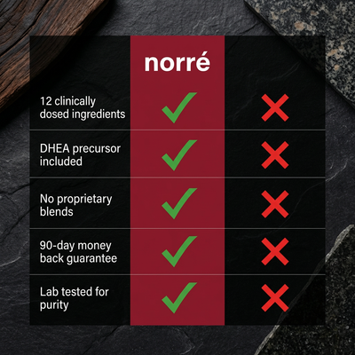 Norré - Testosterone+